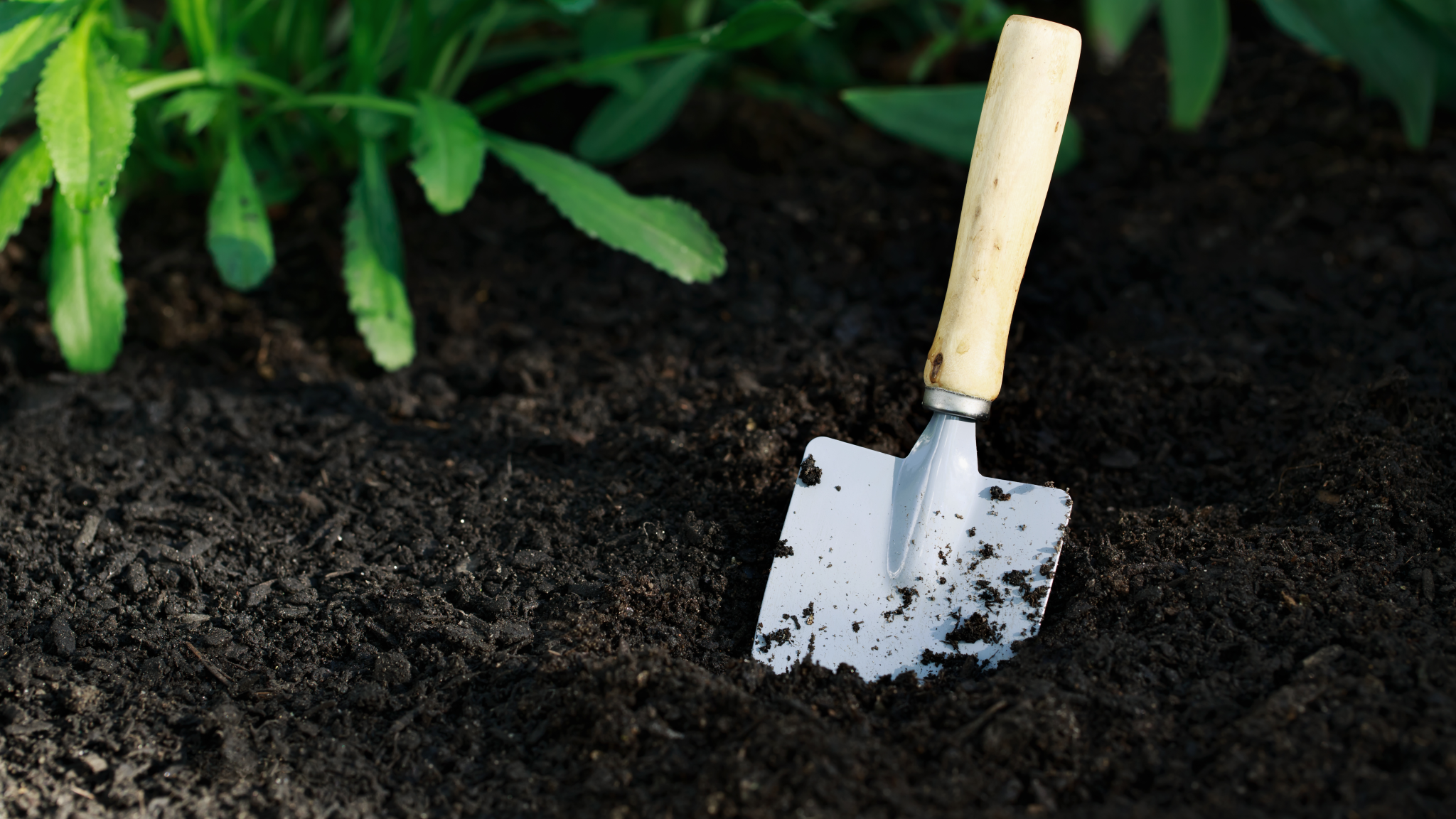 PEO discipline committee suspends engineer over deficient soil testing report